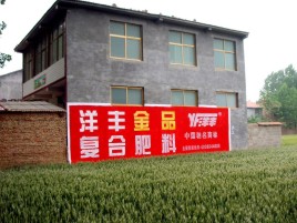 方城如何让墙体广告展现最大化效果