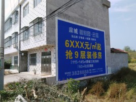 方城墙体广告质量分析